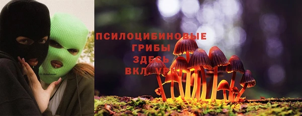 гидропоника Алексин