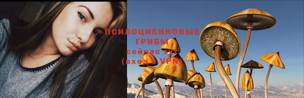 твердый Абаза