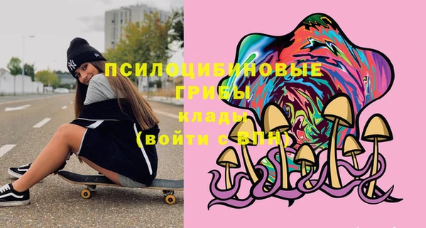 гидра Алексеевка
