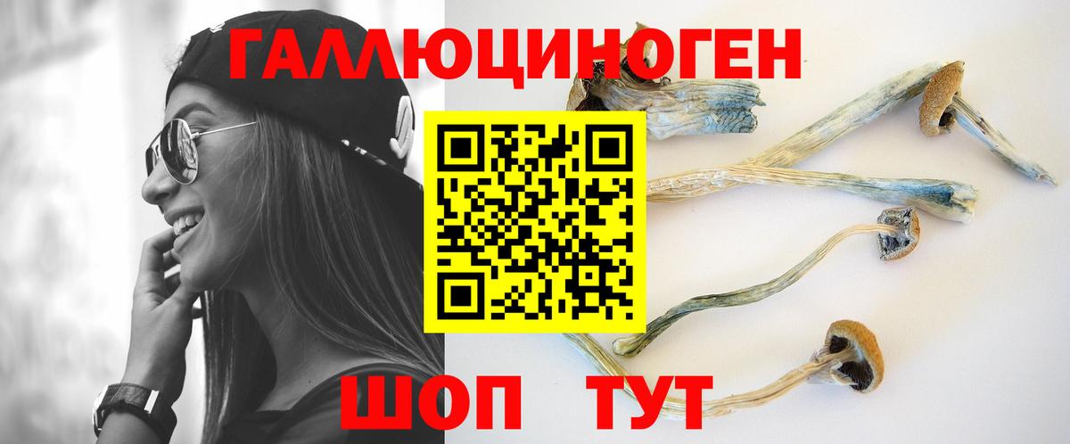 Псилоцибиновые грибы MAGIC MUSHROOMS  Вход с VPN  магазин    Псилоцибиновые грибы мухоморы  Лысьва 